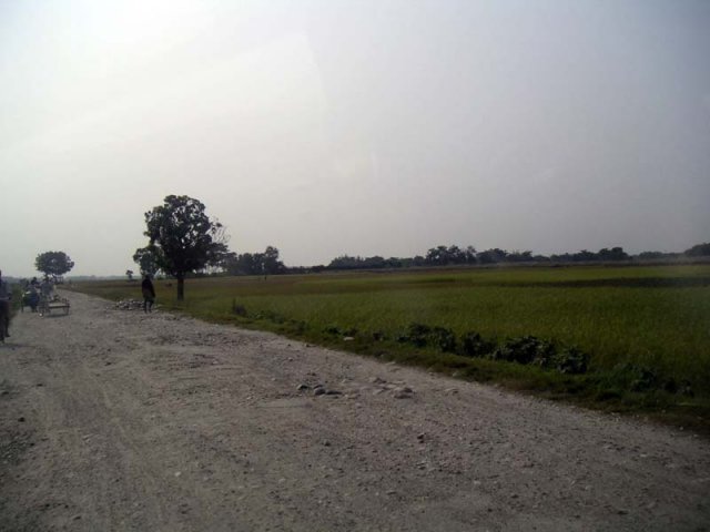 Look carefully and see the seal