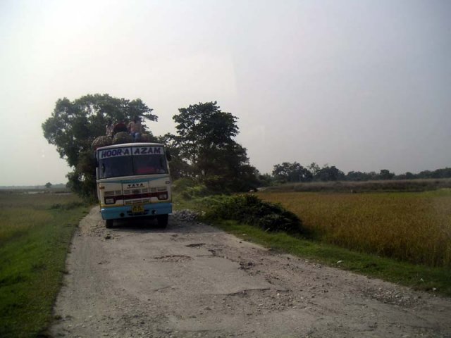 Slow progress over bits of seal