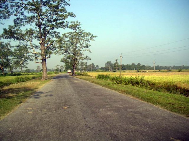 Recent reseal - already damaged