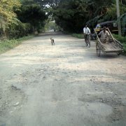 Little seal left here