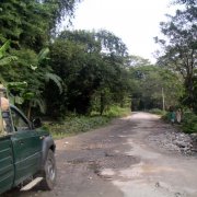 At this stage remaining bitumen is the problem