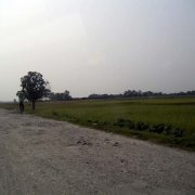 Look carefully and see the seal