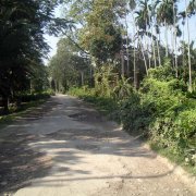 Remaining bitumen makes road impassable